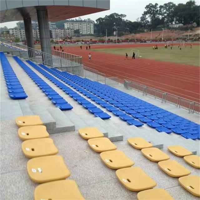 运动场边赶大集！潍坊乐埠山这场活动让年味“动”起来(图1)